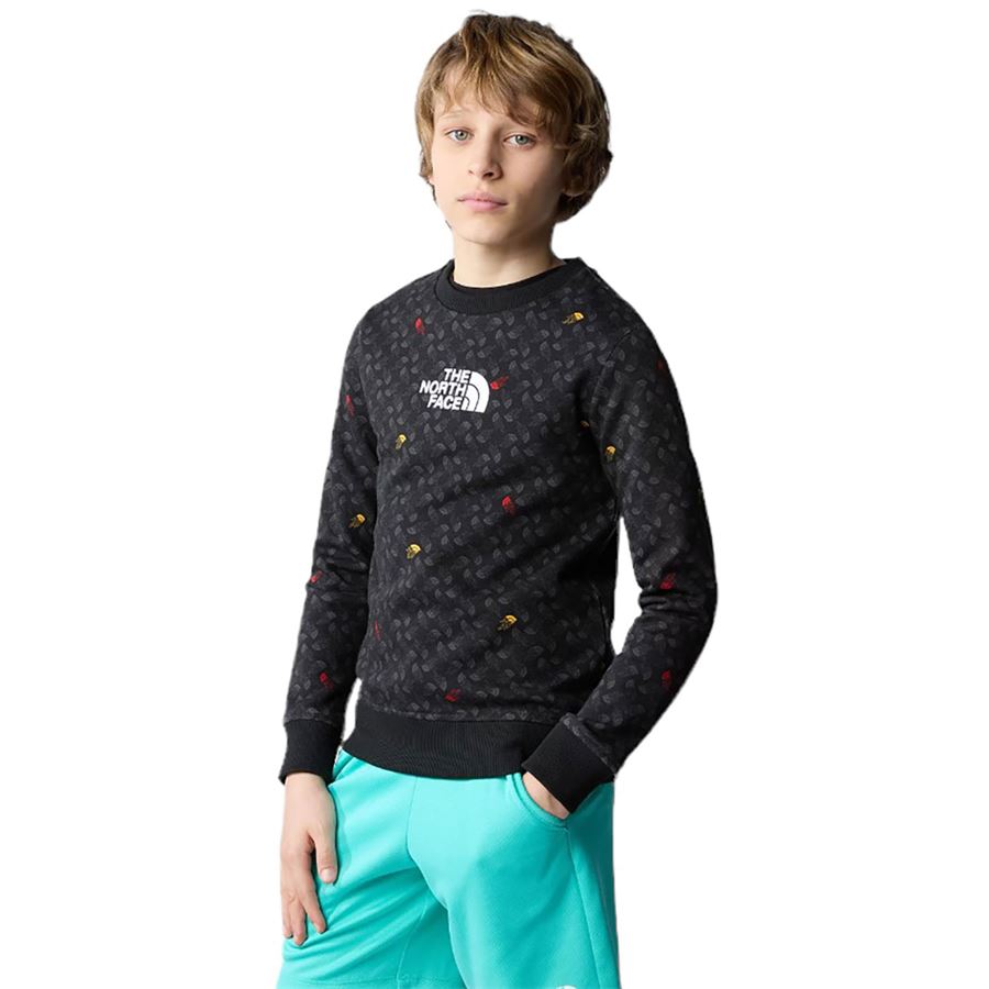 B DREW PEAK LIGHT CREW PRINT The North Face | NF0A8870U8I